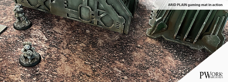 PWork Wargames PWork Wargames: Arid Plain (48"x48")