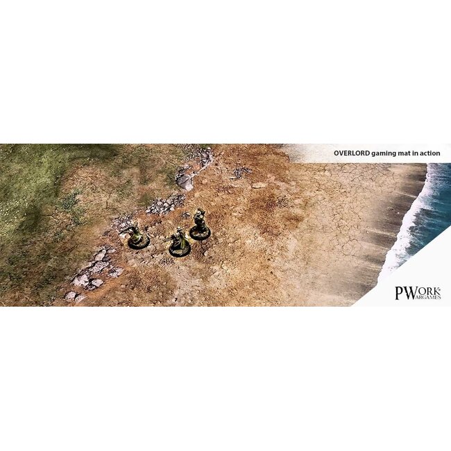 PWork Wargames PWork Wargames: Overlord (44"x30")