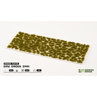 Gamers Grass Dry Green 2mm