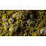 Gamers Grass GamersGrass: Tufts - Moss 2mm