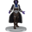 Wizkids Wizkids - Critical Role: The Tombtakers