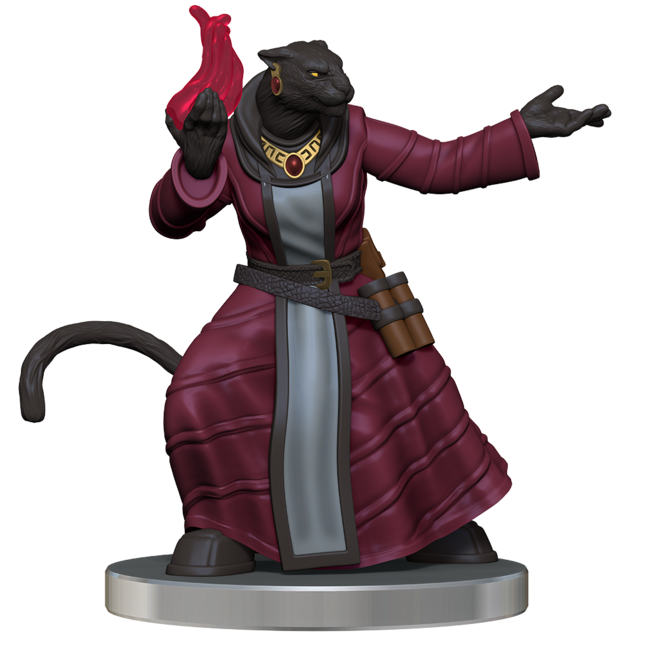 Wizkids Wizkids - Critical Role: The Tombtakers