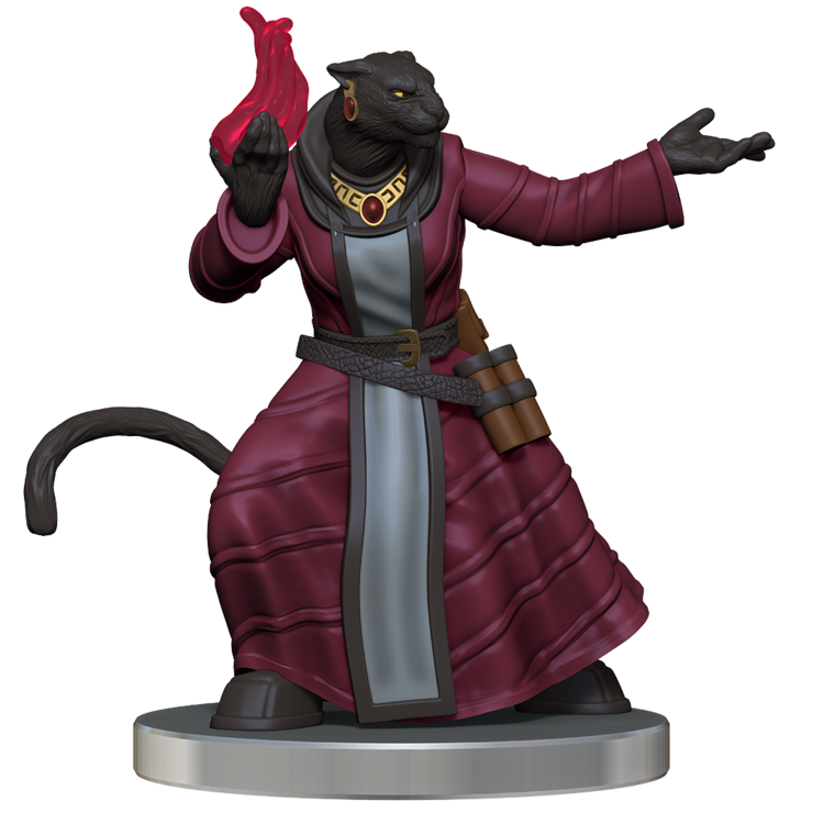 Wizkids Wizkids - Critical Role: The Tombtakers