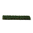 AK Interactive AK Interactive - Diorama: Ivy Foliage