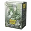 Dragon Shield Dragon Shield: Gaial Matte Dual Art Sleeves (100 Standard Size Sleeves)