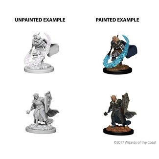 Wizkids Elf Cleric