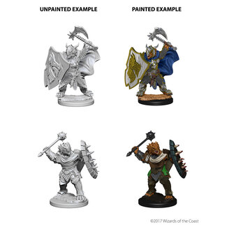Wizkids Dragonborn Paladin