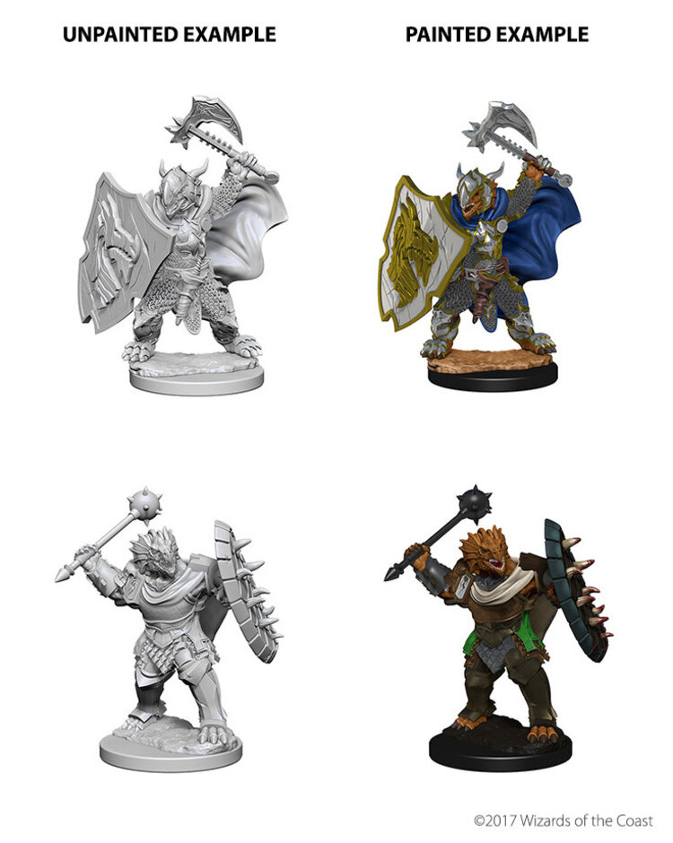 Wizkids Wizkids - Nolzur's Marvelous Miniatures: Dragonborn Paladin