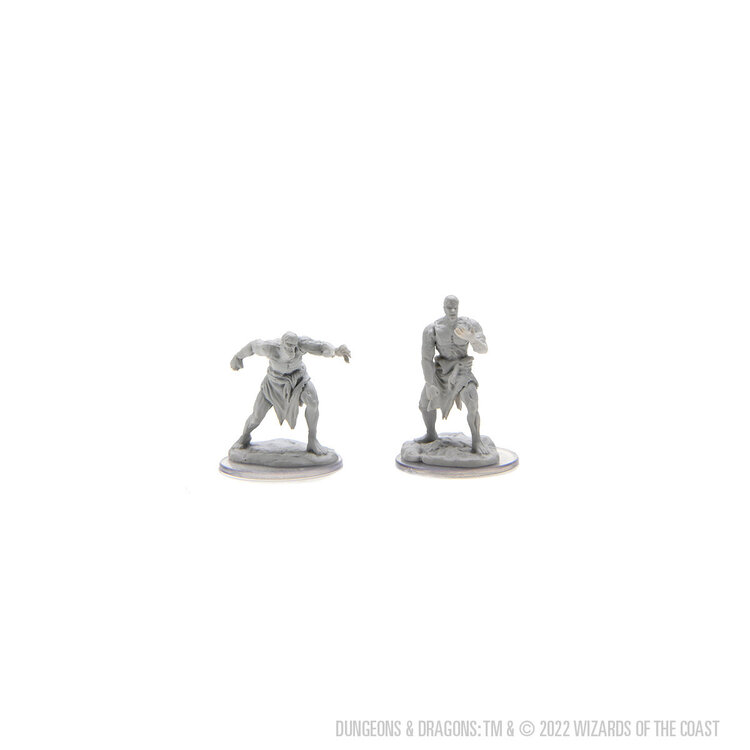 Wizkids Wizkids - Nolzur's Marvelous Miniatures: Flesh Golems