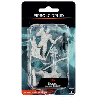 Wizkids Firbolg Druid