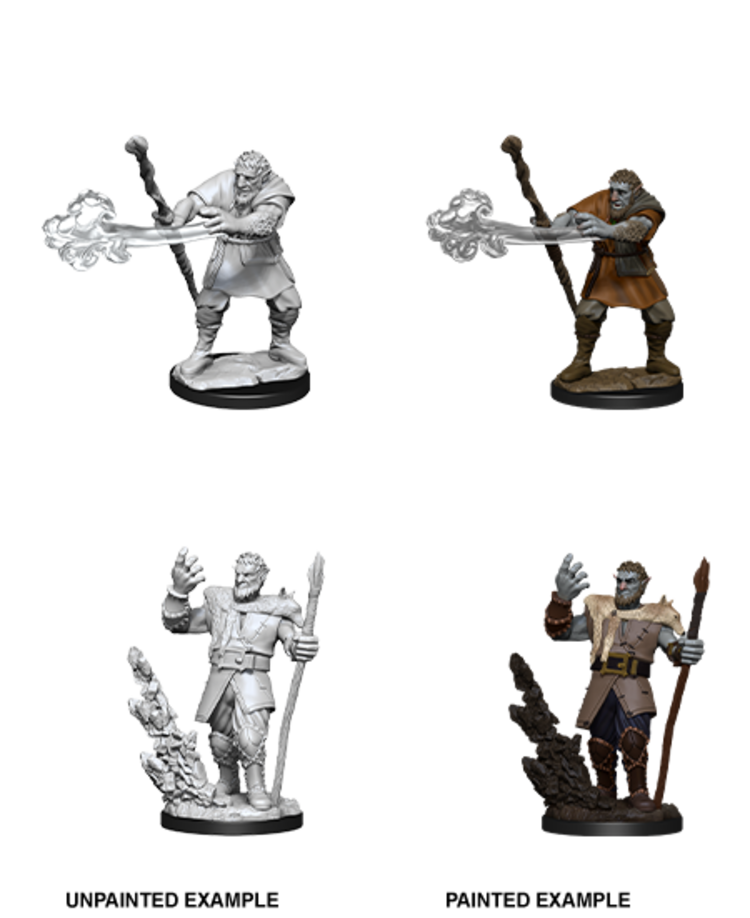 Wizkids Wizkids - Nolzur's Marvelous Miniatures: Firbolg Druid