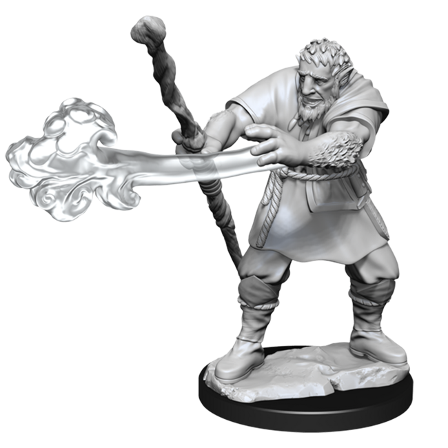 Wizkids Wizkids - Nolzur's Marvelous Miniatures: Firbolg Druid