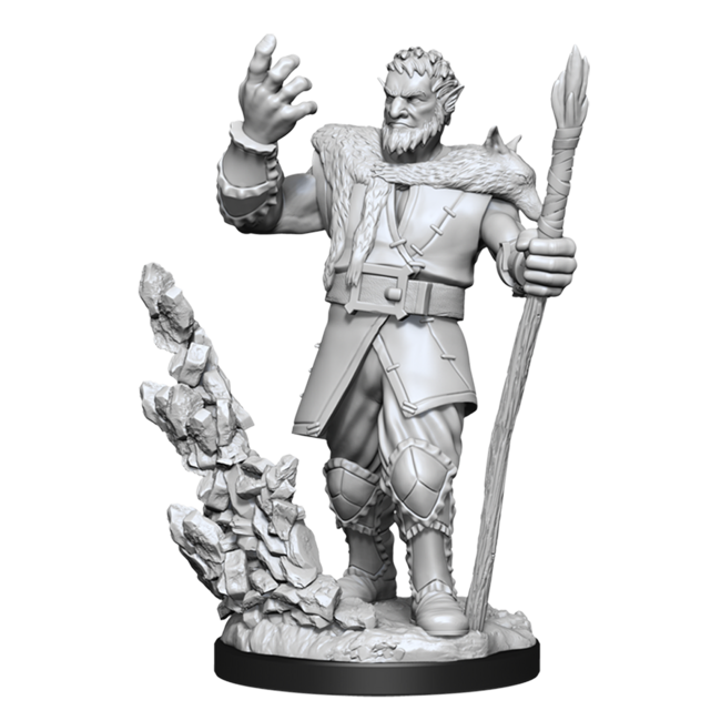 Wizkids Wizkids - Nolzur's Marvelous Miniatures: Firbolg Druid