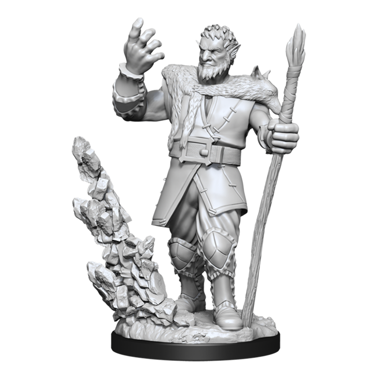 Wizkids Wizkids - Nolzur's Marvelous Miniatures: Firbolg Druid