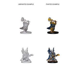 Wizkids Dwarf Paladin