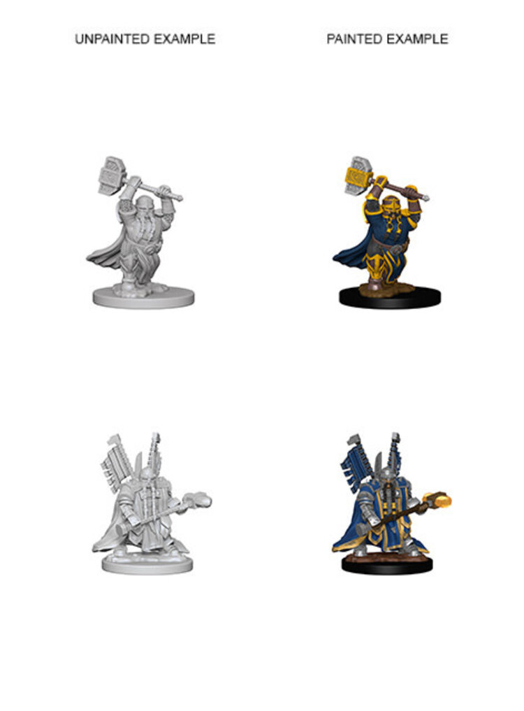 Wizkids Wizkids - Nolzur's Marvelous Miniatures: Dwarf Paladin