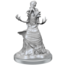 Wizkids Wizkids - Nolzur's Marvelous Miniatures: Mind Flayers