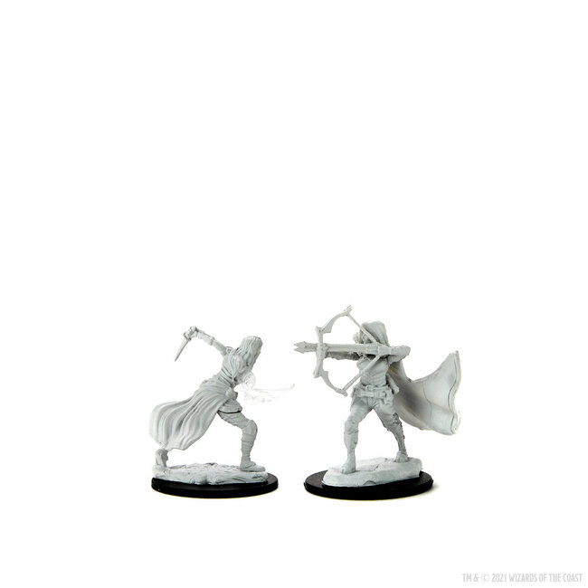Wizkids Wizkids - Nolzur's Marvelous Miniatures: Female Air Genasi