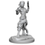 Wizkids Wizkids - Nolzur's Marvelous Miniatures: Shifter Fighter