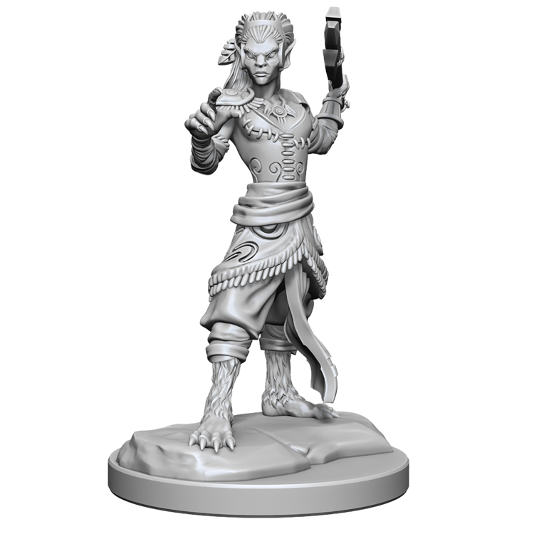 Wizkids Wizkids - Nolzur's Marvelous Miniatures: Shifter Fighter