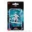 Wizkids Wizkids - Nolzur's Marvelous Miniatures: Oni