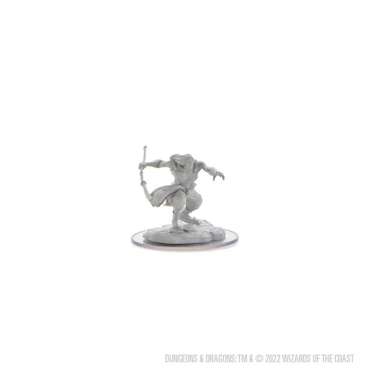 Wizkids Wizkids - Nolzur's Marvelous Miniatures: Oni