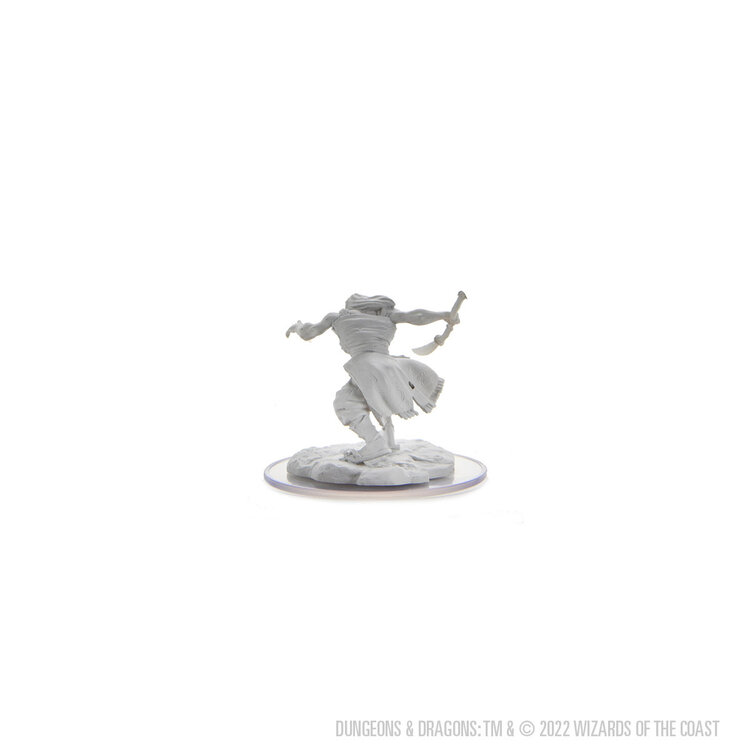 Wizkids Wizkids - Nolzur's Marvelous Miniatures: Oni