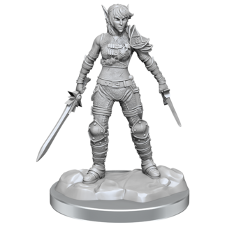 Wizkids Elf Rogue & Half-Elf Rogue Protégé