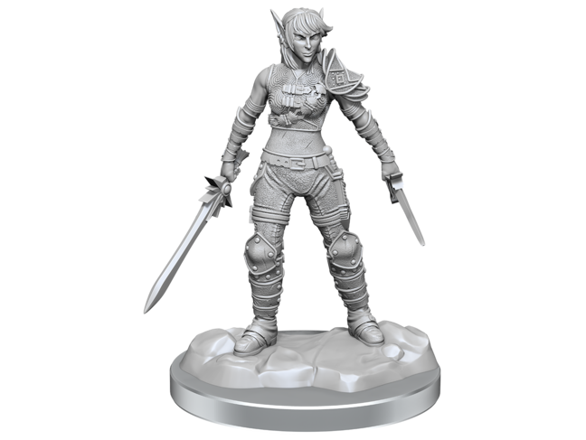 Wizkids Elf Rogue & Half-Elf Rogue Protégé