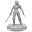 Wizkids Wizkids - Nolzur's Marvelous Miniatures: Elf Rogue & Half-Elf Rogue Protégé