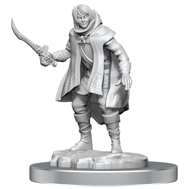 Wizkids Wizkids - Nolzur's Marvelous Miniatures: Elf Rogue & Half-Elf Rogue Protégé