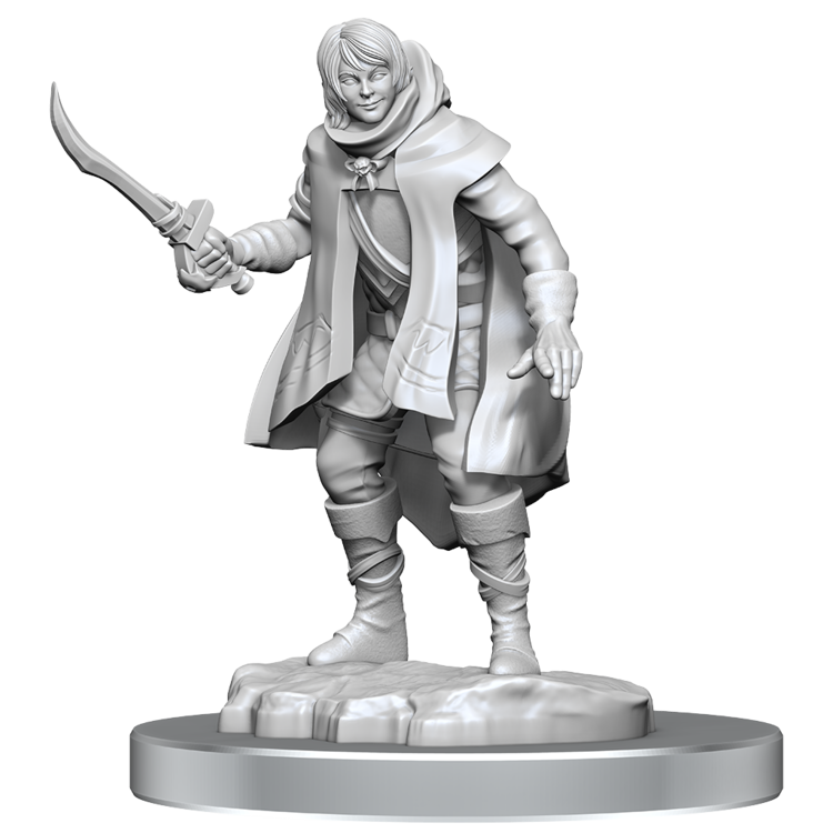 Wizkids Wizkids - Nolzur's Marvelous Miniatures: Elf Rogue & Half-Elf Rogue Protégé