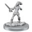Wizkids Wizkids - Nolzur's Marvelous Miniatures: Qucklings