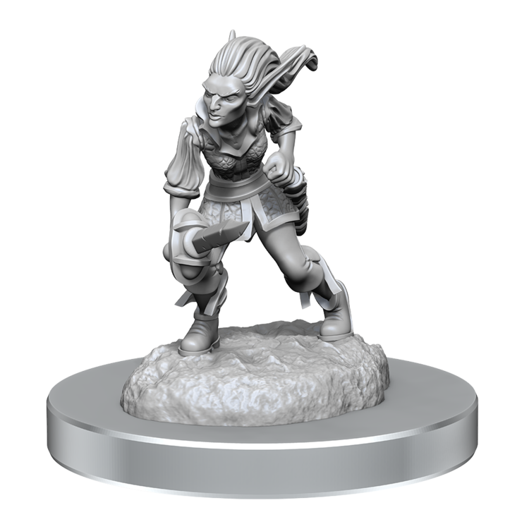 Wizkids Wizkids - Nolzur's Marvelous Miniatures: Qucklings