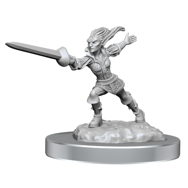 Wizkids Wizkids - Nolzur's Marvelous Miniatures: Qucklings