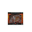 Wizkids Wizkids - Nolzur's Marvelous Miniatures: Adult Blue Shadow Dragon