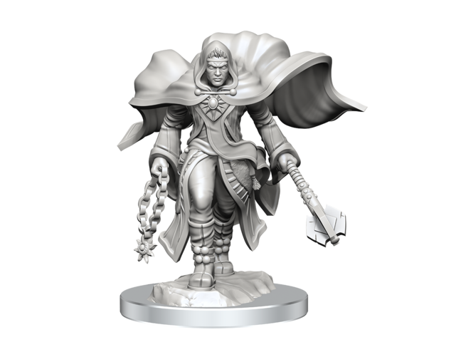 Wizkids Aasimar Cleric Male