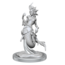 Wizkids Wizkids - Nolzur's Marvelous Miniatures: Merfolk