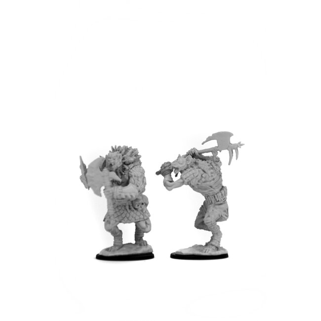 Wizkids Wizkids - Nolzur's Marvelous Miniatures: Gnolls