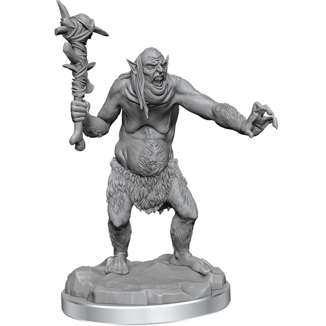Wizkids Wizkids - Nolzur's Marvelous Miniatures: Grimlocks