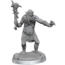 Wizkids Wizkids - Nolzur's Marvelous Miniatures: Grimlocks