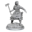 Wizkids Wizkids - Nolzur's Marvelous Miniatures: Human Fighters
