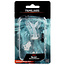 Wizkids Wizkids - Nolzur's Marvelous Miniatures: Familiars