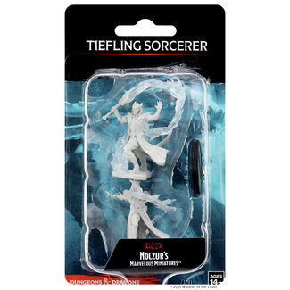 Wizkids Tiefling Sorcerer