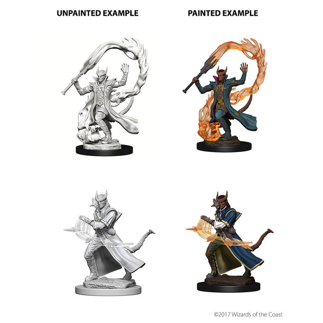 Wizkids Wizkids - Nolzur's Marvelous Miniatures: Tiefling Sorcerer