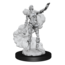 Wizkids Wizkids - Nolzur's Marvelous Miniatures: Lich & Mummy Lord
