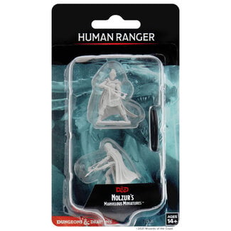 Wizkids Human Ranger