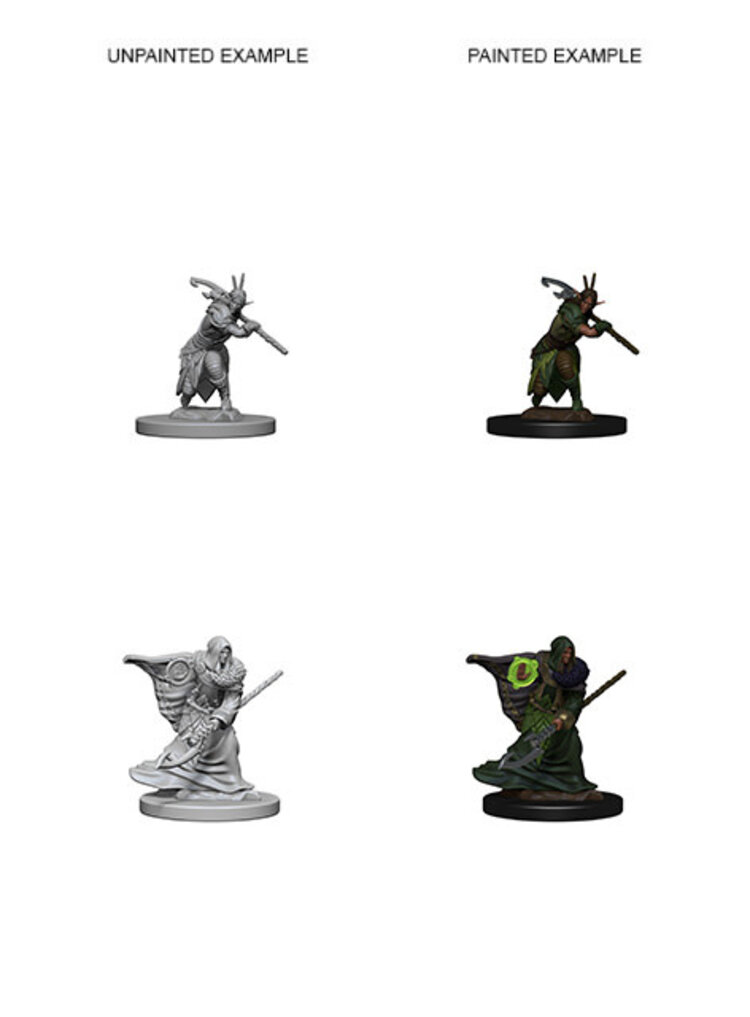 Wizkids Wizkids - Nolzur's Marvelous Miniatures: Elf Druid