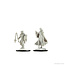 Wizkids Wizkids - Nolzur's Marvelous Miniatures: Kalashtar Cleric