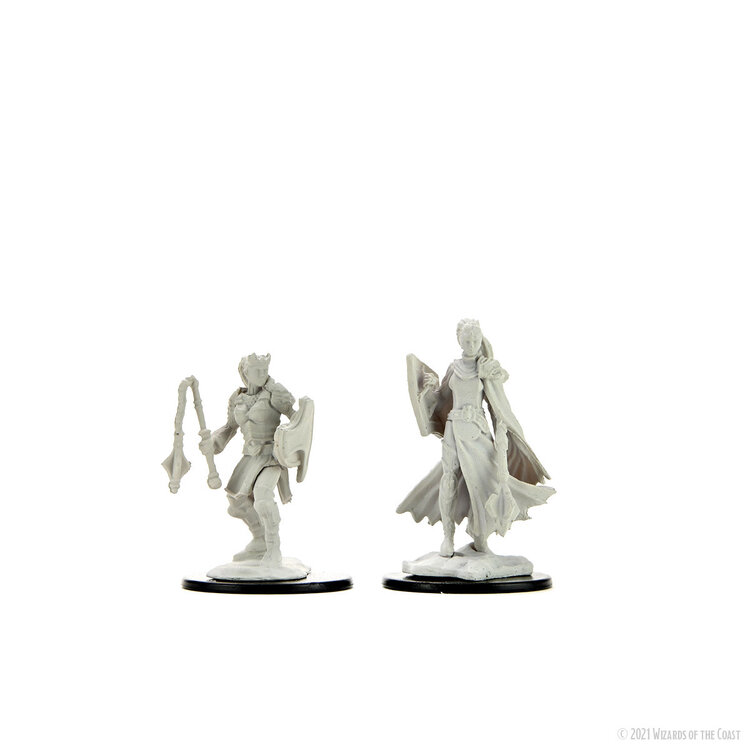 Wizkids Wizkids - Nolzur's Marvelous Miniatures: Kalashtar Cleric